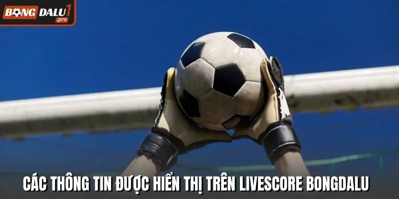 Các thông tin được hiển thị trên livescore Bongdalu